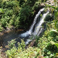 Waterfall and pool