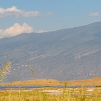 Mountasins