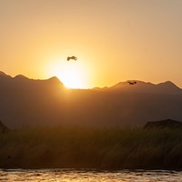 Sunset from the island