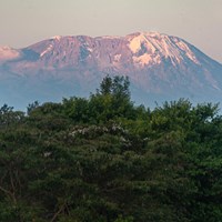 Kilimanjaro at sunset